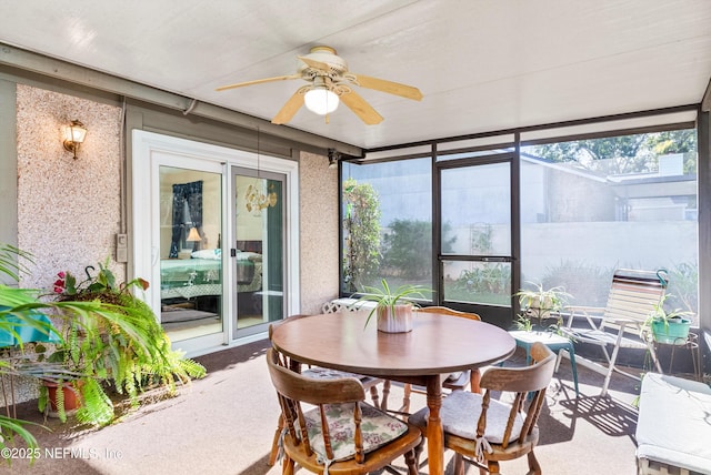 sunroom / solarium featuring ceiling fan and a healthy amount of sunlight