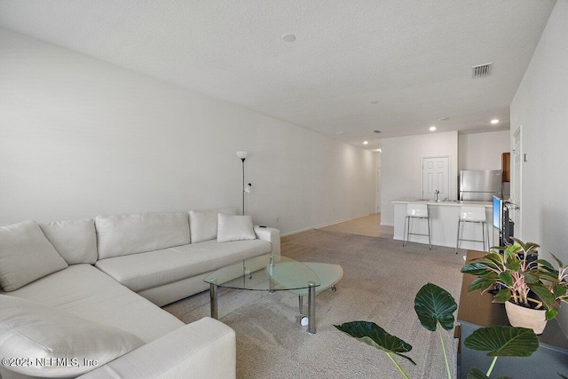 carpeted living room with sink and a textured ceiling