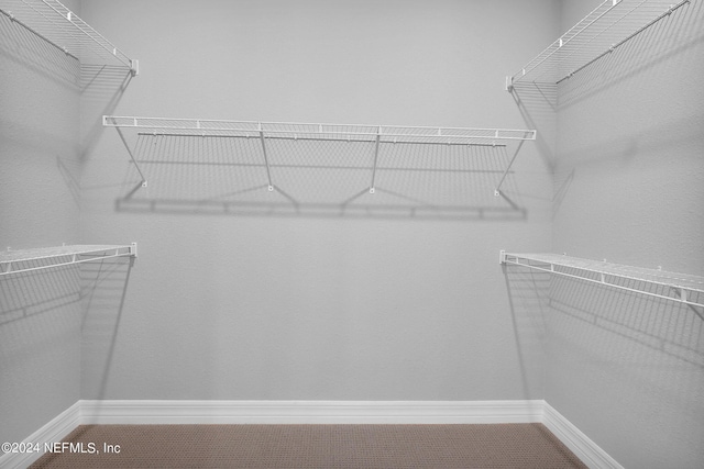 spacious closet with carpet floors