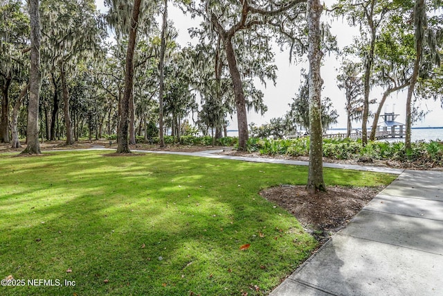 view of community featuring a yard