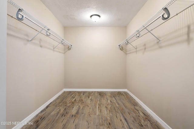 walk in closet featuring wood-type flooring