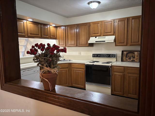 kitchen featuring under cabinet range hood, white appliances, brown cabinetry, and a sink