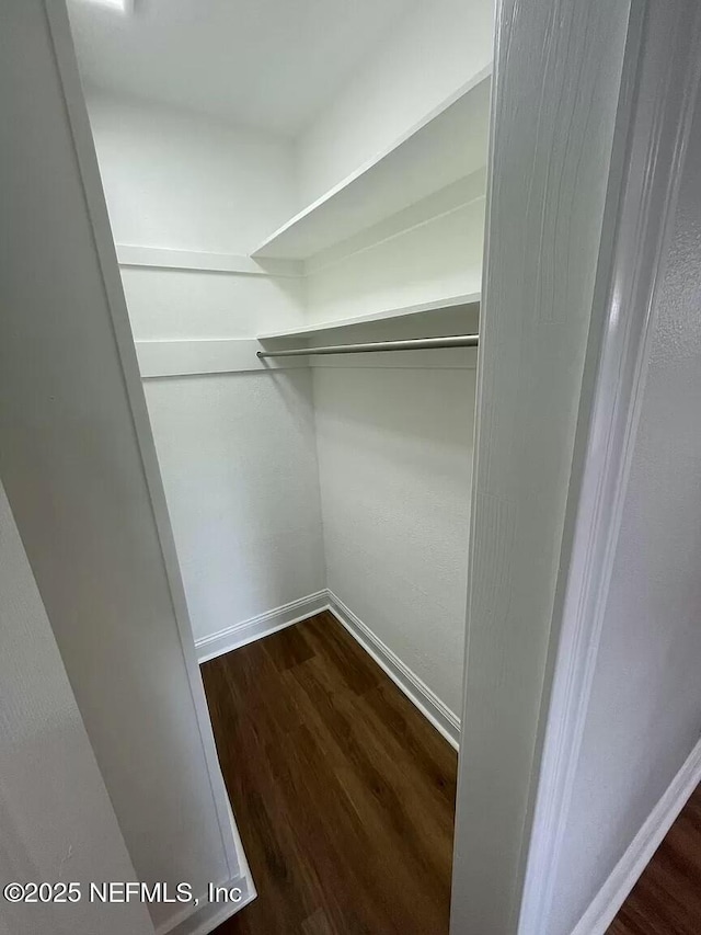 spacious closet with dark hardwood / wood-style flooring