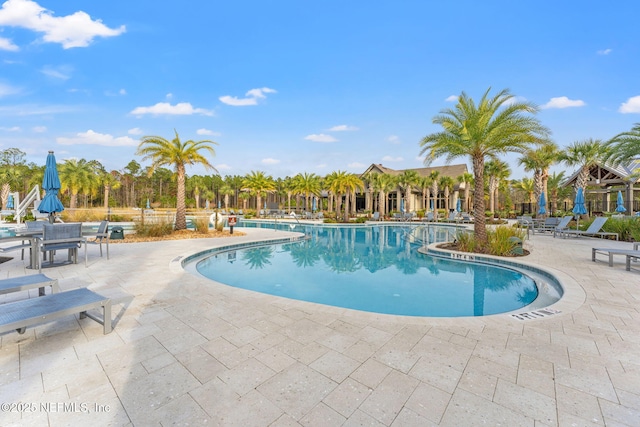 view of pool featuring a patio