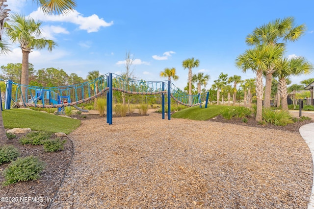 view of jungle gym