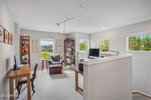 office area with light colored carpet and a wealth of natural light