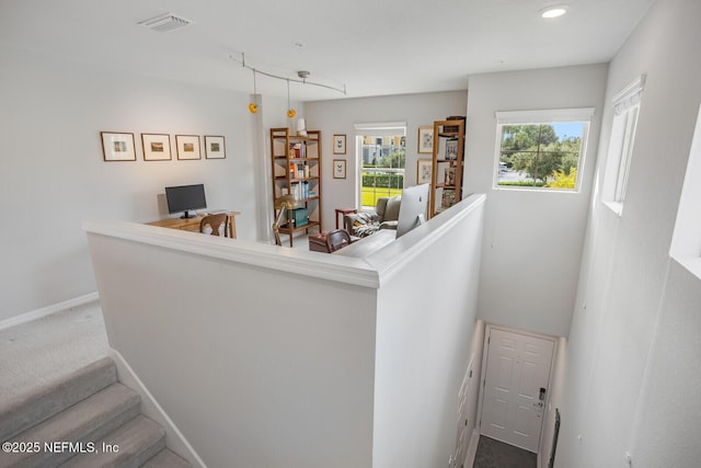 interior space featuring carpet flooring and a wealth of natural light