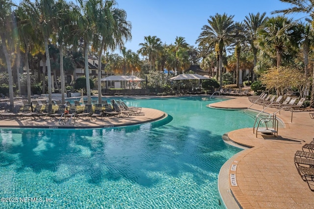 view of swimming pool with a patio