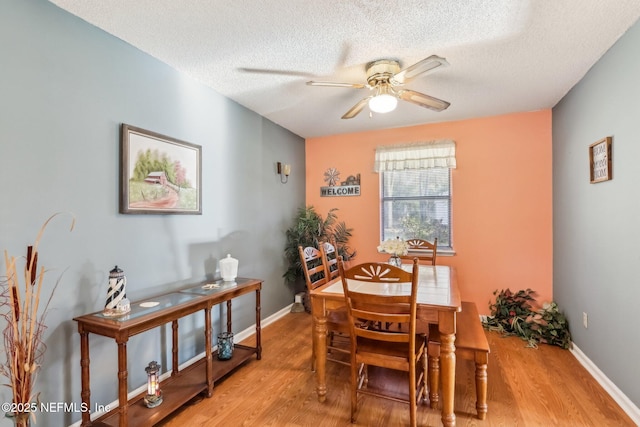 dining room featuring ceiling fan, light hardwood / wood-style floors, and a textured ceiling