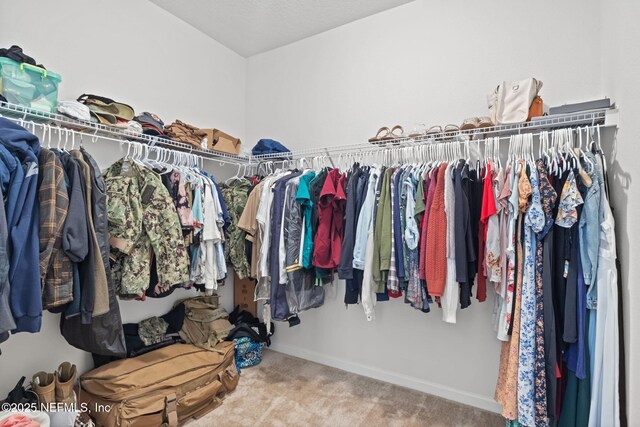 spacious closet featuring carpet