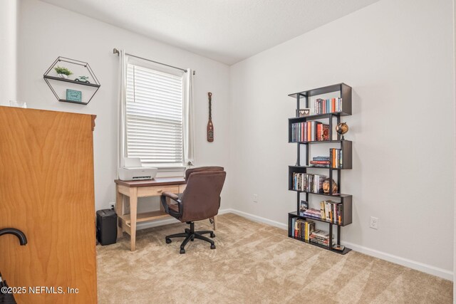 office space with light carpet