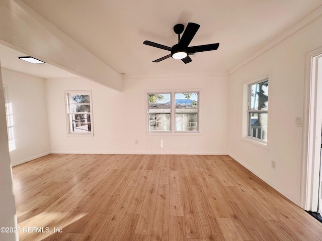 empty room with ceiling fan, light hardwood / wood-style floors, and ornamental molding