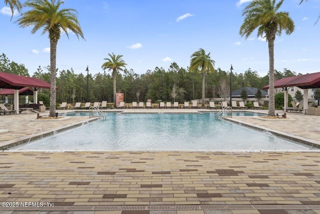 view of swimming pool featuring a patio area