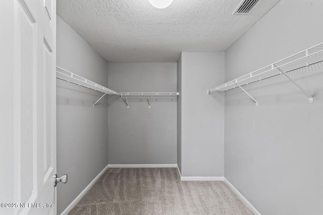 walk in closet with carpet floors