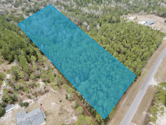 14068 Dunroven Dr, Bryceville FL, 32009 land for sale