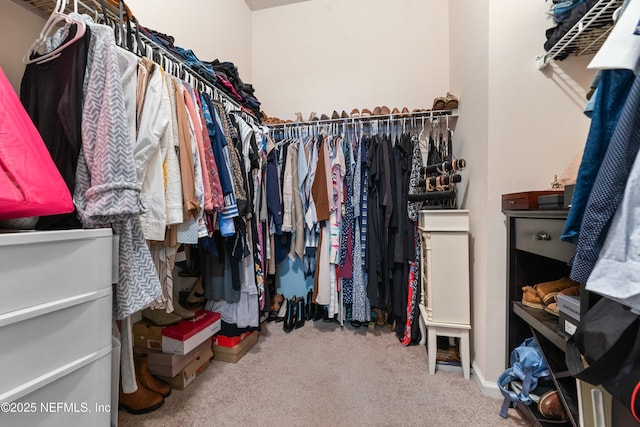 walk in closet with carpet floors