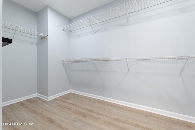 spacious closet featuring hardwood / wood-style floors