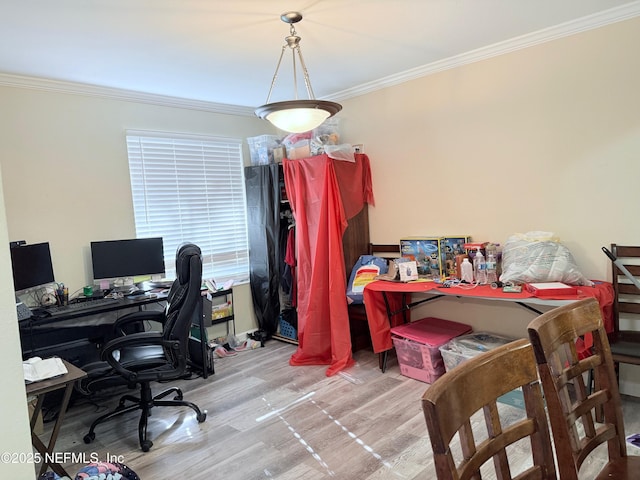 office space featuring light hardwood / wood-style flooring and ornamental molding