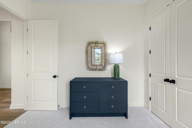 interior space with light colored carpet and a closet