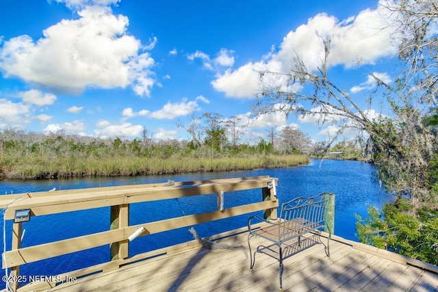 dock area with a water view