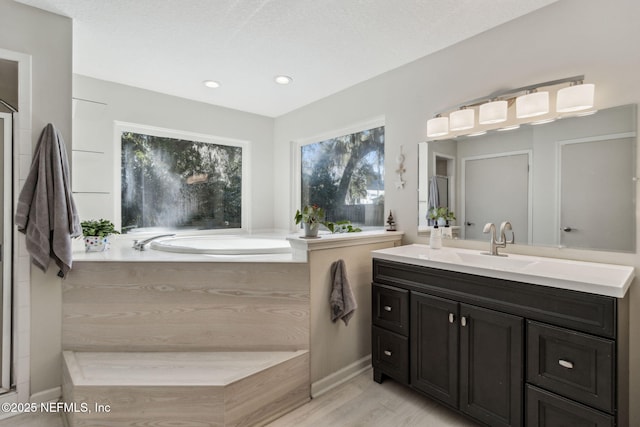 bathroom featuring a tub, hardwood / wood-style floors, and vanity