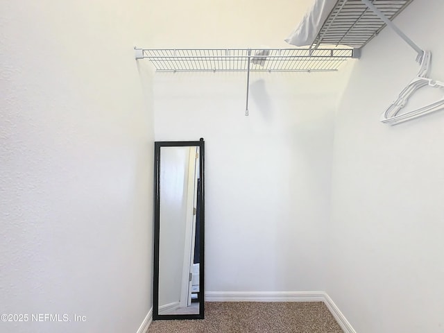 spacious closet featuring carpet flooring