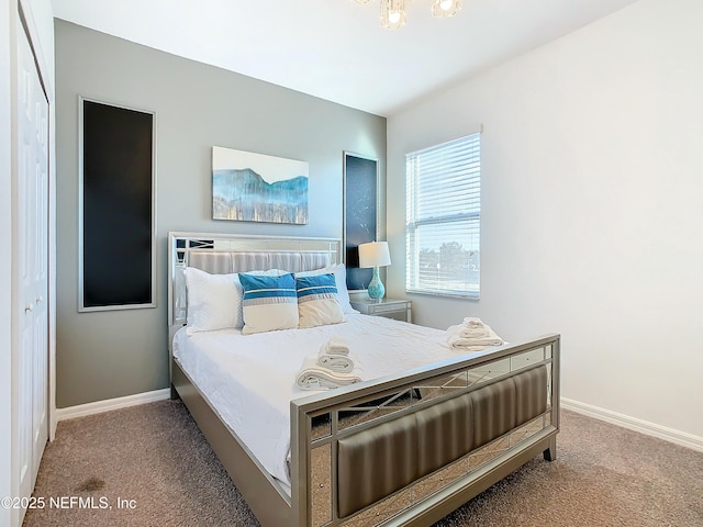 bedroom featuring carpet floors and a closet