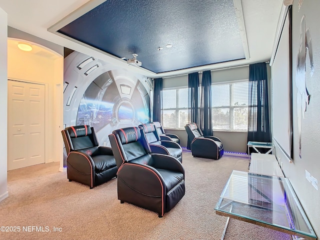 carpeted home theater room featuring a textured ceiling and a tray ceiling