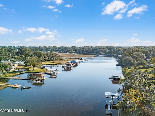 property view of water with a boat dock