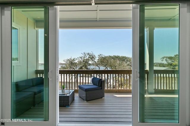 entryway with wood-type flooring and a wealth of natural light