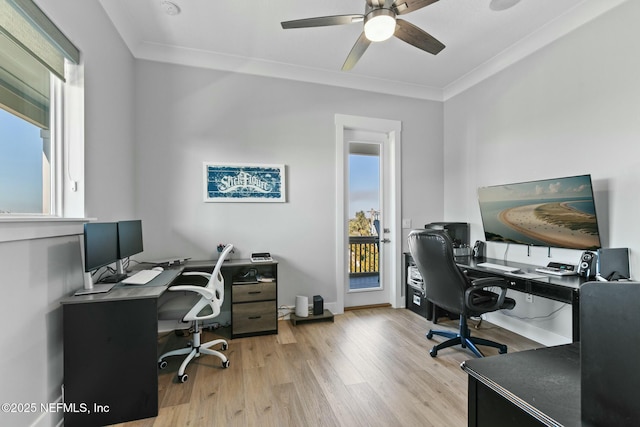 office area featuring ceiling fan, ornamental molding, and light wood-type flooring