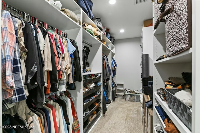 walk in closet with light colored carpet