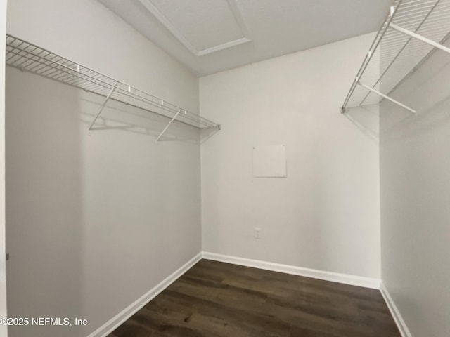 walk in closet featuring dark hardwood / wood-style floors