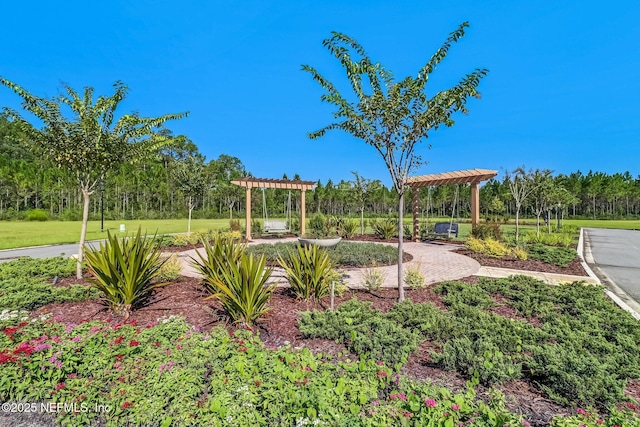 view of yard featuring a pergola