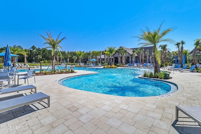 view of pool with pool water feature and a patio