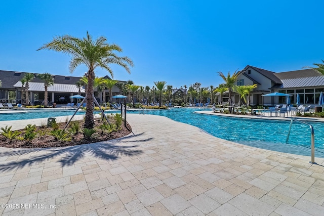 view of swimming pool with a patio area