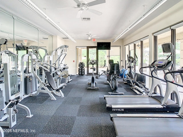 workout area featuring ceiling fan