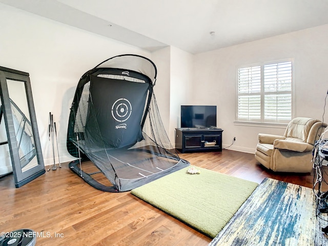 living room featuring hardwood / wood-style flooring