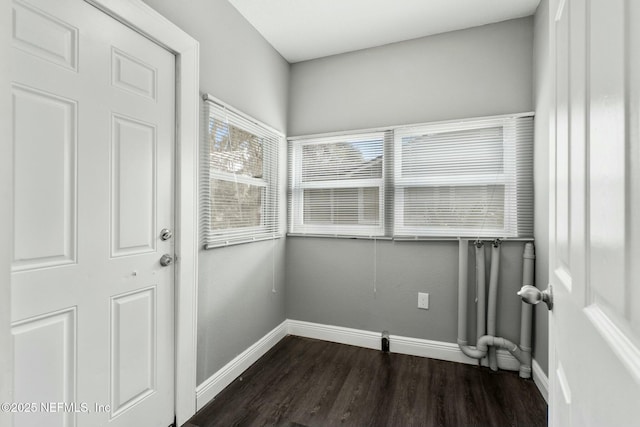 laundry area featuring dark hardwood / wood-style flooring