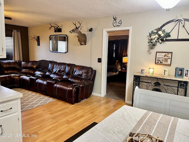 living room featuring light hardwood / wood-style flooring and a textured ceiling