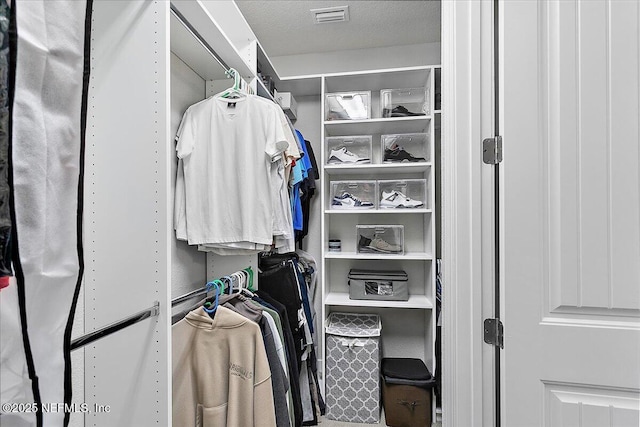 view of spacious closet