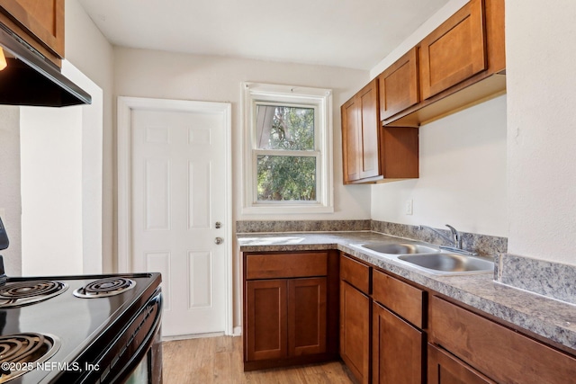 kitchen with sink, black / electric stove, light wood-type flooring, and range hood