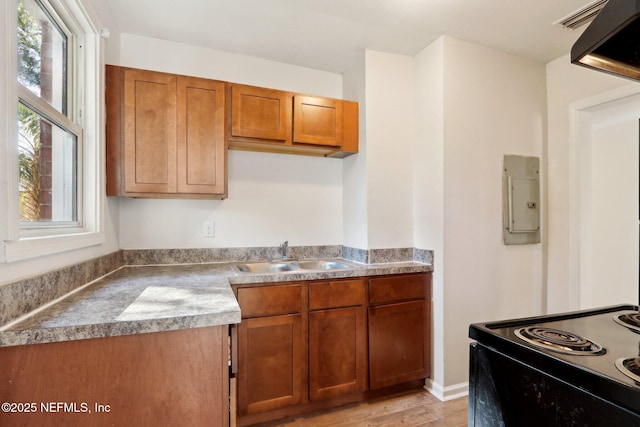 kitchen with electric panel, sink, light wood-type flooring, and black range with electric cooktop