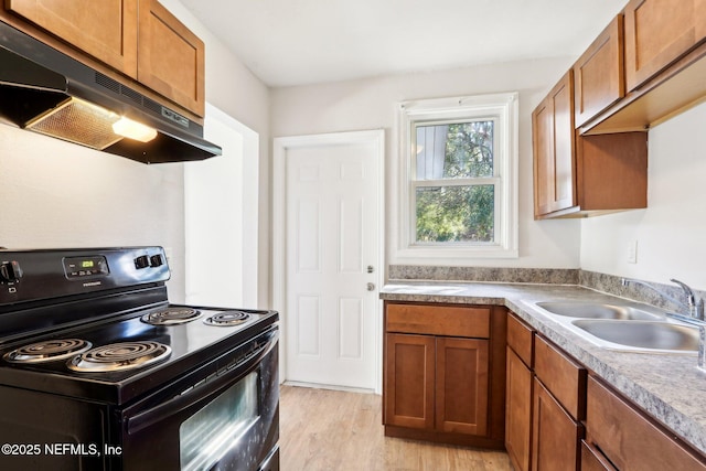 kitchen featuring black range with electric cooktop, light wood-type flooring, and sink