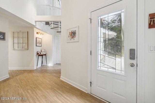 entrance foyer featuring light hardwood / wood-style floors and a healthy amount of sunlight