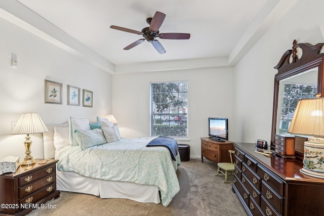 bedroom featuring carpet floors, ceiling fan, and a tray ceiling