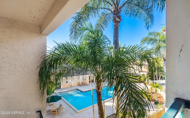 view of swimming pool