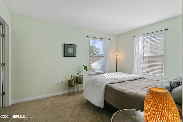 bedroom featuring carpet flooring