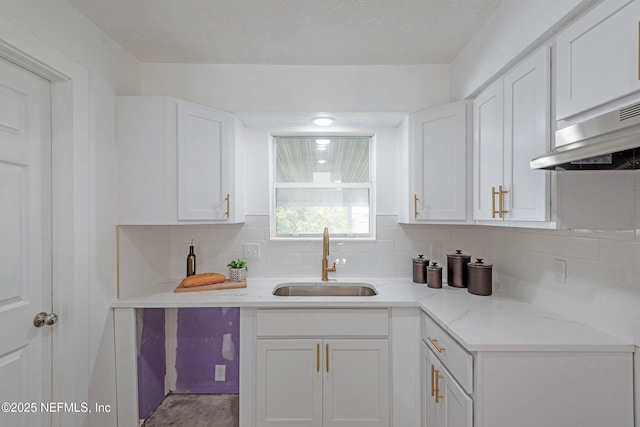 kitchen with decorative backsplash, white cabinetry, and sink