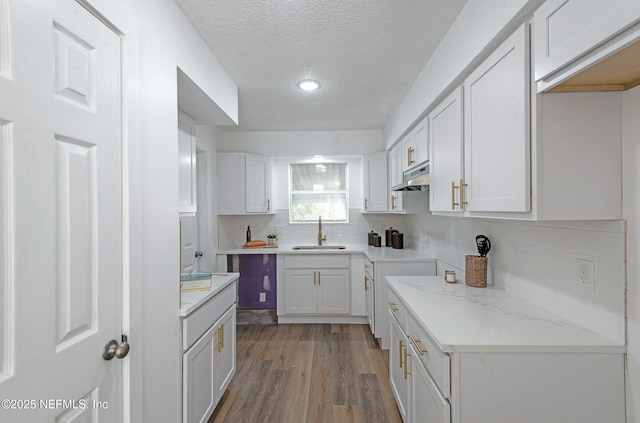 kitchen with sink, tasteful backsplash, hardwood / wood-style floors, a textured ceiling, and white cabinets